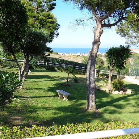 Residencial Torrealmar Con Vistas Διαμέρισμα Τορεβιέχα Εξωτερικό φωτογραφία