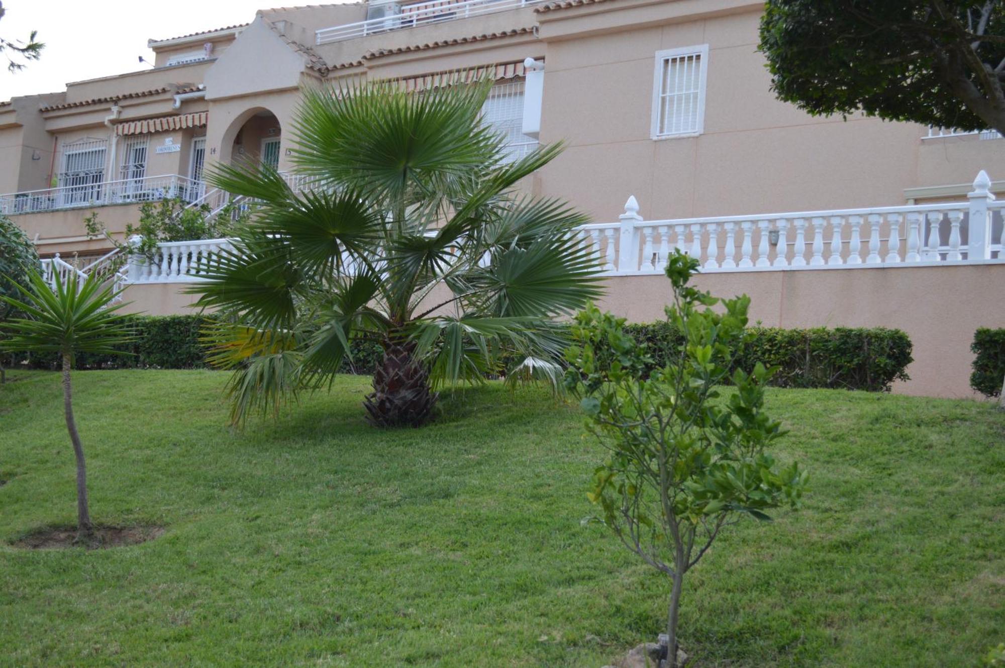 Residencial Torrealmar Con Vistas Διαμέρισμα Τορεβιέχα Εξωτερικό φωτογραφία