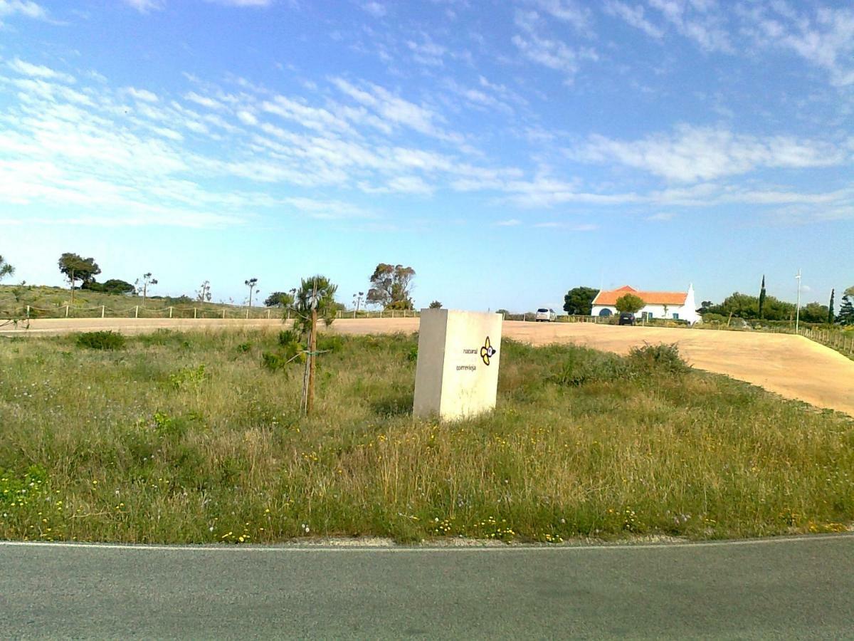 Residencial Torrealmar Con Vistas Διαμέρισμα Τορεβιέχα Εξωτερικό φωτογραφία