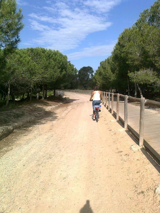 Residencial Torrealmar Con Vistas Διαμέρισμα Τορεβιέχα Εξωτερικό φωτογραφία